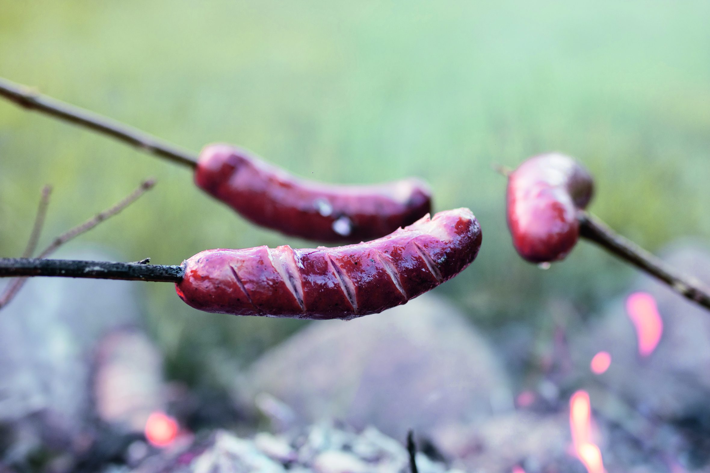 cropped-iStock-954557622_bearb.jpg